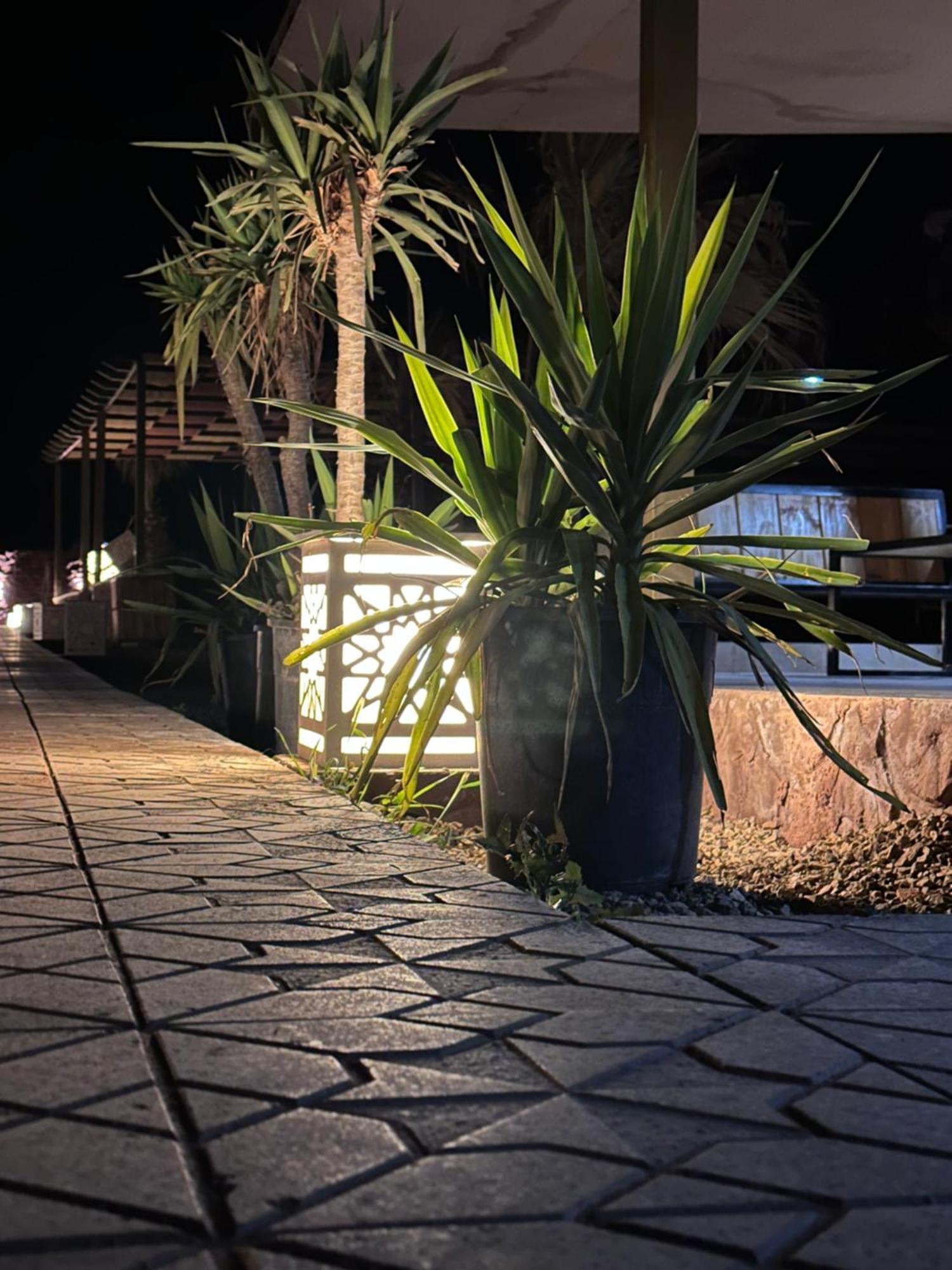 Rum Relaxation Luxury Camp Ram Vadisi Dış mekan fotoğraf